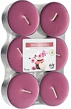 Teekerzen-Set Kurgarten - Bispol Spa Garden Maxi Scented Candles — Bild N1