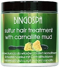 Düfte, Parfümerie und Kosmetik Haarmaske - BingoSpa Treatment For Hair With Mud Karnalitowym