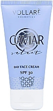 Verjüngende Tagescreme mit schwarzem Kaviar - Vollare Cosmetics Caviar Extract Soothing Day Face Cream SPF 30 — Bild N3