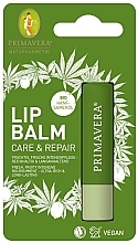 Düfte, Parfümerie und Kosmetik Lippenbalsam - Primavera Lip Balm Care & Repair