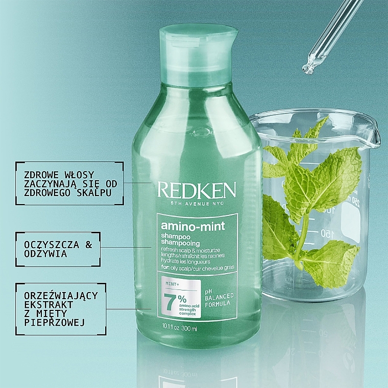 Erfrischendes und feuchtigkeitsspendendes Shampoo für fettige Kopfhaut - Redken Amino Mint Shampoo — Bild N2