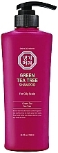 Düfte, Parfümerie und Kosmetik Shampoo mit grünem Teebaum für fettige Kopfhaut - Daeng Gi Meo Ri Green Tea Tree Shampoo for Oily Scalp