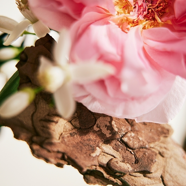 Chloé Rose Naturelle - Eau de Parfum — Bild N8