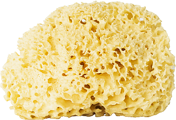 Natürlicher Badeschwamm gelb 9,5 cm - Hhuumm 04H Natural Sponge — Bild N1