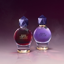 Viktor & Rolf Good Fortune Elixir Intense - Eau de Parfum — Bild N5