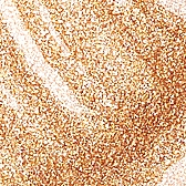 Feuchtigkeitsspendendes Gesichtsgel mit Goldpartikeln - Yonelle Metamorphosis Gold Flash Moisturizer Champagne Glow — Bild N2