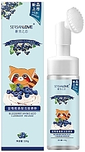 Düfte, Parfümerie und Kosmetik Schaum-Mousse zum Waschen mit Heidelbeerextrakt - Sersanlove Blueberry Amino Acid Cleanser Mousse