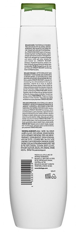 Haarshampoo - Biolage Strenght Recovery Shampoo — Bild N2