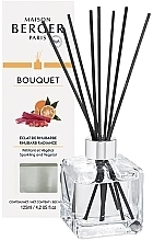 Düfte, Parfümerie und Kosmetik Maison Berger Cube Rhubarb Radiance - Raumerfrischer
