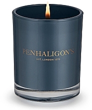 Duftkerze im Glas - Penhaligon's Roanoke Ivy Candle — Bild N3