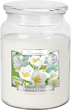 Düfte, Parfümerie und Kosmetik Premium-Duftkerze im Glas Blühender Jasmin - Bispol Premium Line Scented Candle Blooming Jasmine 