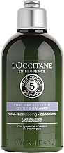 Beruhigende Haarspülung für gesundes und glänzendes Haar - L'Occitane Aromachologie Gentle & Balance Conditioner — Bild N1