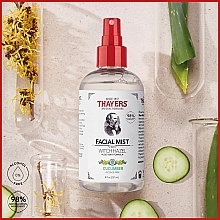 Tonikum-Spray für das Gesicht mit Gurke - Thayers Alcohol-free Witch Hazel Facial Mist Toner With Aloe Vera Formula Cucumber — Bild N3