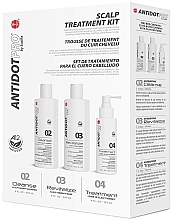 Düfte, Parfümerie und Kosmetik Set - Antidot Pro Scalp Treatment Kit (shampoo/240ml + h/mask/240ml + h/spray/120ml)