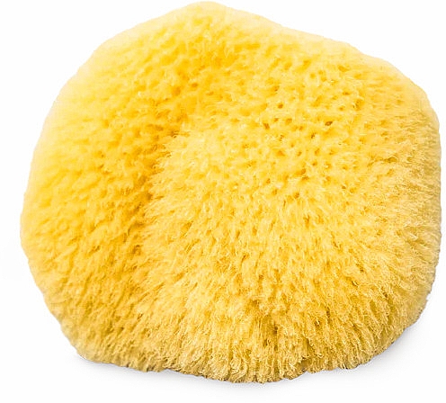 Natürlicher Meeresschwamm Größe 2-21 - Hydrea London Caribbean Silk Sea Sponge — Bild N1