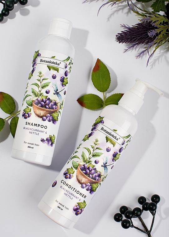 Shampoo für geschwächtes Haar mit schwarzer Johannisbeere und Brennnessel - Botanioteka Shampoo For Weak Hair — Bild N3