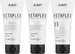 Set - ASP Vitaplex Travel Kit (shm/100ml + cond/100ml + preserver/100ml) — Bild N2