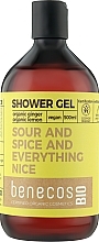 Duschgel - Benecos Shower Gel Organic Ingwer & Zitrone — Bild N1