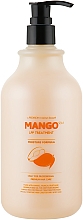Haarmaske mit Mango - Evas Pedison Institut-Beaute Mango Rich LPP Treatment — Bild N1