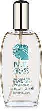 Düfte, Parfümerie und Kosmetik Elizabeth Arden Blue Grass - Eau de Parfum