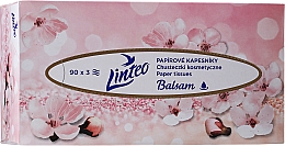 Düfte, Parfümerie und Kosmetik Taschentücher mit Balsam 90 St. rosa - Linteo