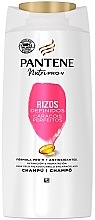 Düfte, Parfümerie und Kosmetik Shampoo für lockiges Haar - Pantene Nutri Pro-V Defined Curls Shampoo
