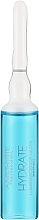 Düfte, Parfümerie und Kosmetik Lotion für trockenes und geschädigtes Haar - Farmavita Amethyste Hydrate Luminescence Nutri Lotion 12x8ml
