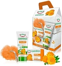 Körperpflegeset - Equilibra Calendula (Beruhigende Creme mit Ringelblumenextrakt 100ml + Seife für Gesicht, Hände und Körper mit Ringelblumenextrakt 100g + Badeschwamm) — Bild N2