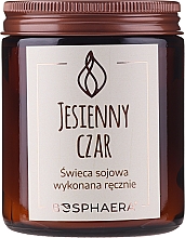 Duftende Soja-Kerze Herbstzauber - Bosphaera Autumn Charm Candle — Bild N1