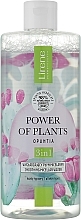 Glättendes Mizellenwasser 3in1 - Lirene Power Of Plants Opuncja Micellar Water — Bild N1