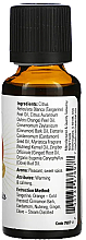 Ätherisches Öl Kürbis und Gewürze - Now Foods Essential Pumpkin Spice Essential Oil — Bild N2