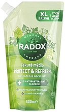 Düfte, Parfümerie und Kosmetik Antibakterielle Handwaschseife - Radox Protect + Refresh Hand Wash (Doypack)