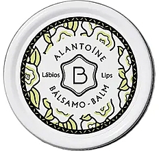 Düfte, Parfümerie und Kosmetik Lippenbalsam mit Allantoin - Benamor Alantoine Lip Balm 
