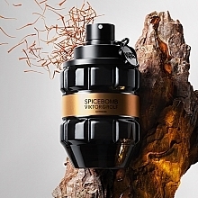 Viktor & Rolf Spicebomb Extreme  - Duftset (Eau de Parfum 90 ml + Eau de Parfum 10 ml)  — Bild N3