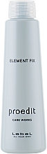 Glättendes Haarserum - Lebel Proedit Element Charge Care Works Element Fix — Bild N2