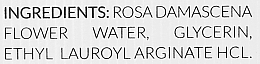 Tonisches Rosenwasser - Alqvimia Rose Water Facial Tonic — Bild N3
