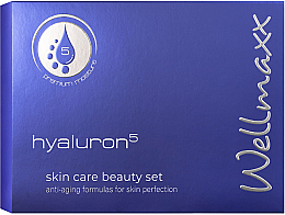 Düfte, Parfümerie und Kosmetik Set - Wellmaxx Hyaluron5 Skin Care Beauty Set II (gel/concen/15ml + cr/15ml + ser/concen/15ml + gel/concen/5ml)