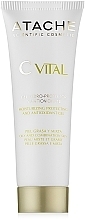 Feuchtigkeitsspendendes und schützendes Gel mit Antioxidantien für Misch- und fettige Haut - Atache C Vital Cream-Gel Oily & Combination Skin — Bild N2