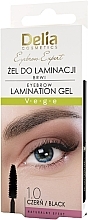 Augenbrauen-Laminiergel - Delia Eyebrow Expert Eyebrow Laminztion Gel  — Bild N1