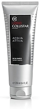 Düfte, Parfümerie und Kosmetik 2in1 Shampoo und Duschgel für Männer - Collistar Acqua Attiva 