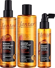 Haarpflegeset - Farmona Jantar (Haarshampoo 300ml + Conditioner 100ml + Haarnebel 200ml) — Bild N2