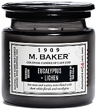 Düfte, Parfümerie und Kosmetik Duftkerze - Colonial Candle Black Tea Flora Scented Jar,M Baker Eucalyptus Lichen