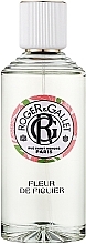 Roger&Gallet Fleur de Figuier Wellbeing Fragrant Water - Aromatisches Wasser — Bild N3