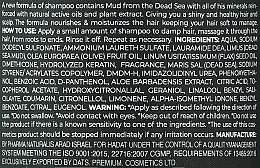 Peeling-Shampoo für die Kopfhaut - Hadat Cosmetics Hydro Mud Hair Shampoo — Bild N2