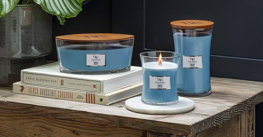 Duftkerze im Glas - Woodwick Ellipse Candle Tempest  — Bild N3