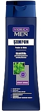 Düfte, Parfümerie und Kosmetik Anti-Schuppen Haarshampoo mit Minze - Viorica Men Daily Use Shampoo