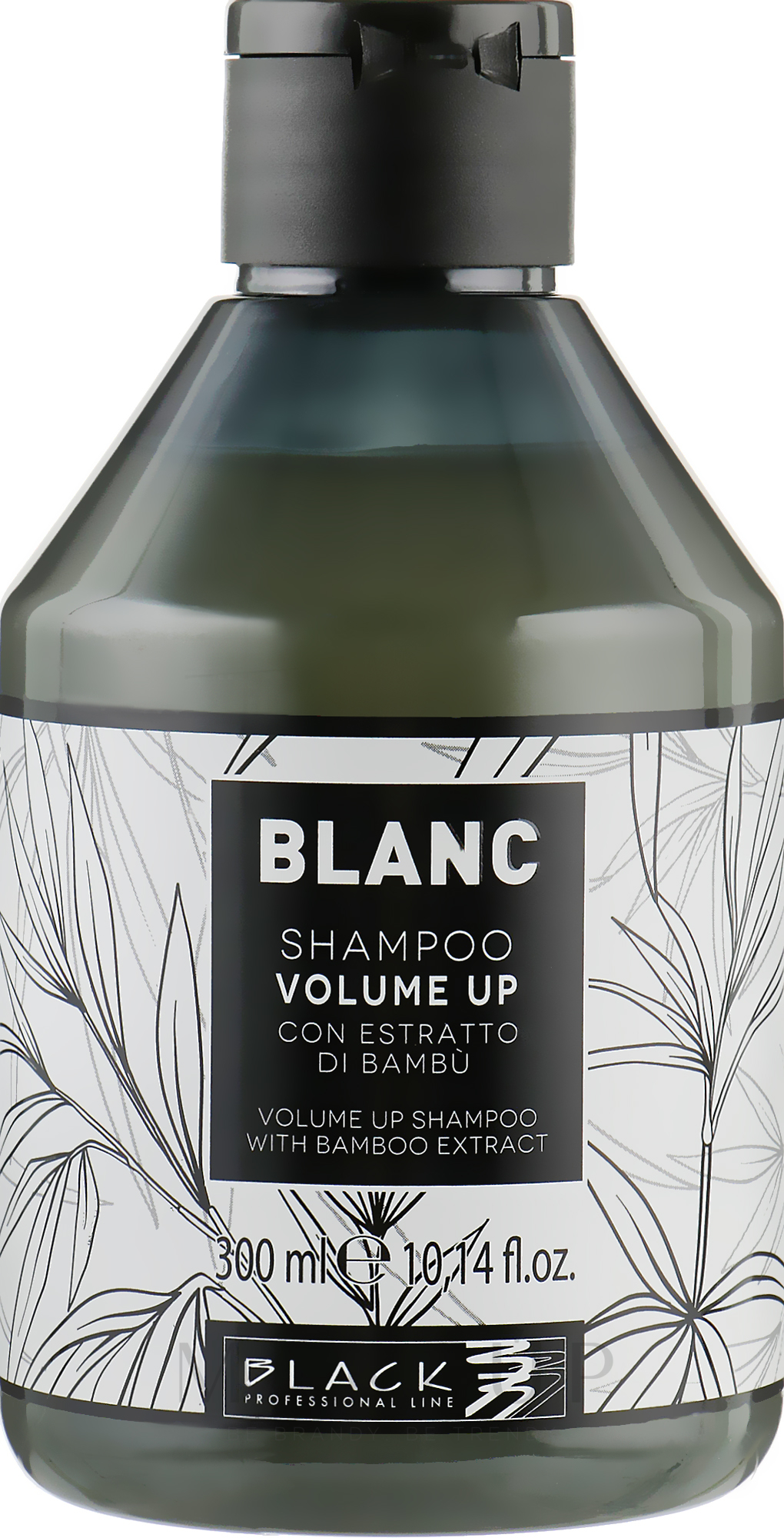 Shampoo für mehr Volumen mit Bambusextrakt - Black Professional Line Blanc Volume Up Shampoo — Bild 300 ml