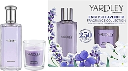 Düfte, Parfümerie und Kosmetik Yardley English Lavender - Duftset (Eau de Toilette 50ml + Duftkerze 120g)