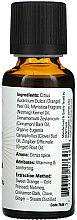 Ätherisches Öl Apfelwein mit Gewürzen - Now Foods Essential Spiced Cider Essential Oil — Bild N2