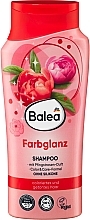Düfte, Parfümerie und Kosmetik Shampoo für coloriertes Haar mit Cranberry-Duft - Balea Shampoo